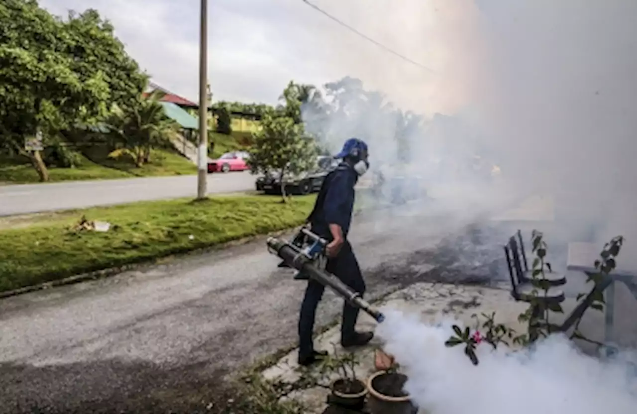 Understanding the dengue outbreak in Malaysia: Causes, impact and solutions — Nurin Atheera Hairudin, Si Zhao Xuan, Ng Kai Jian, Shum Wai Seng and Yap Wey Lim