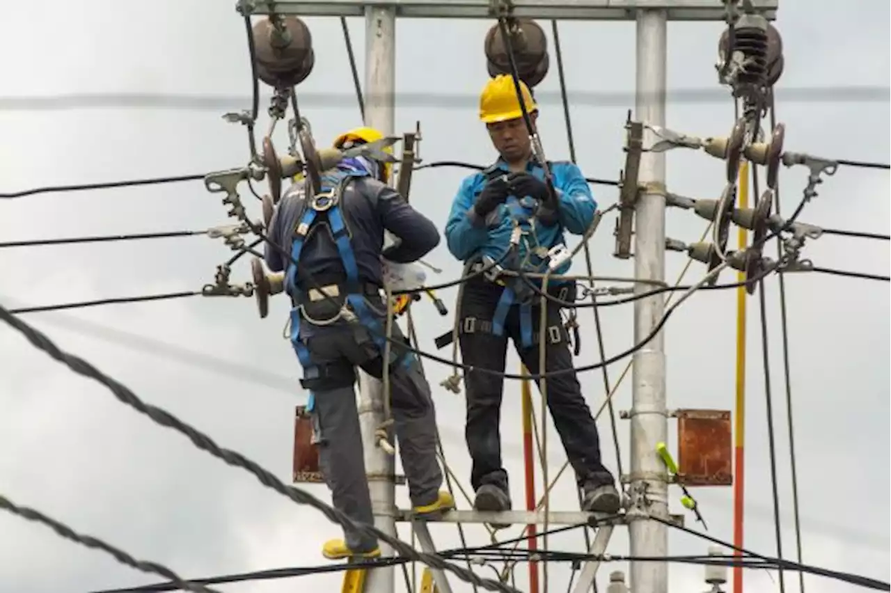 PLN Pastikan Layanan dan Pasokan Listrik Nasional Aman saat Idul Adha