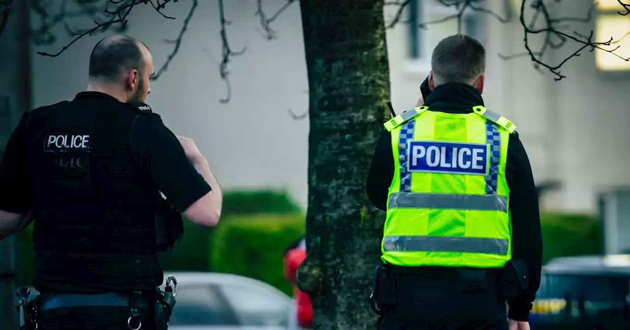 Boy, 15, charged after 'eggs thrown at police car and officers verbally abused'