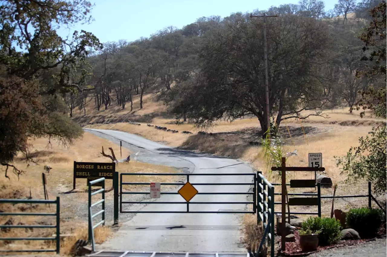 Bay Area temperatures will go up, and snakes likely will be coming out