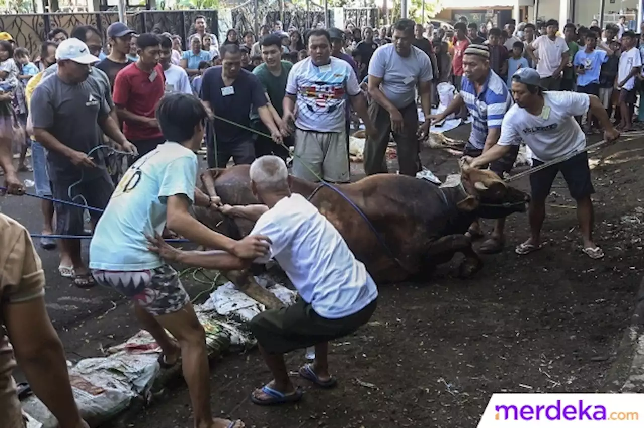 Foto : Pemotongan Hewan Kurban di Kebayoran Lama Jadi Tontonan | merdeka.com