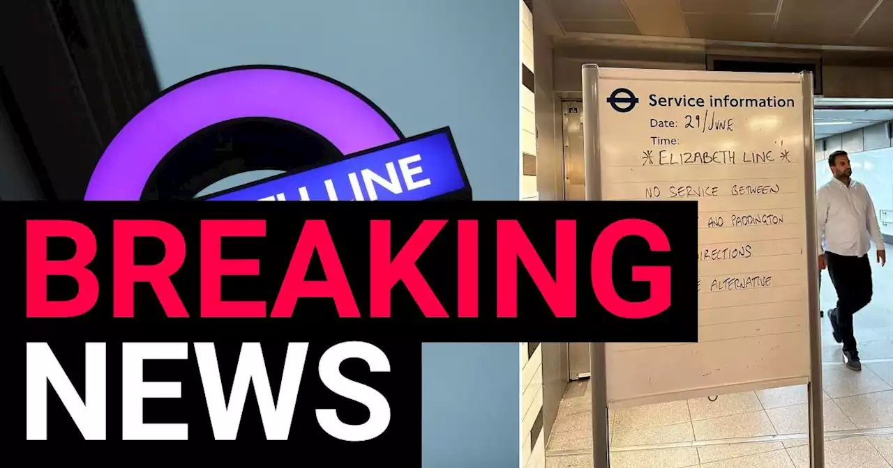 Chaos on the Tube as swan suspends entire Elizabeth Line