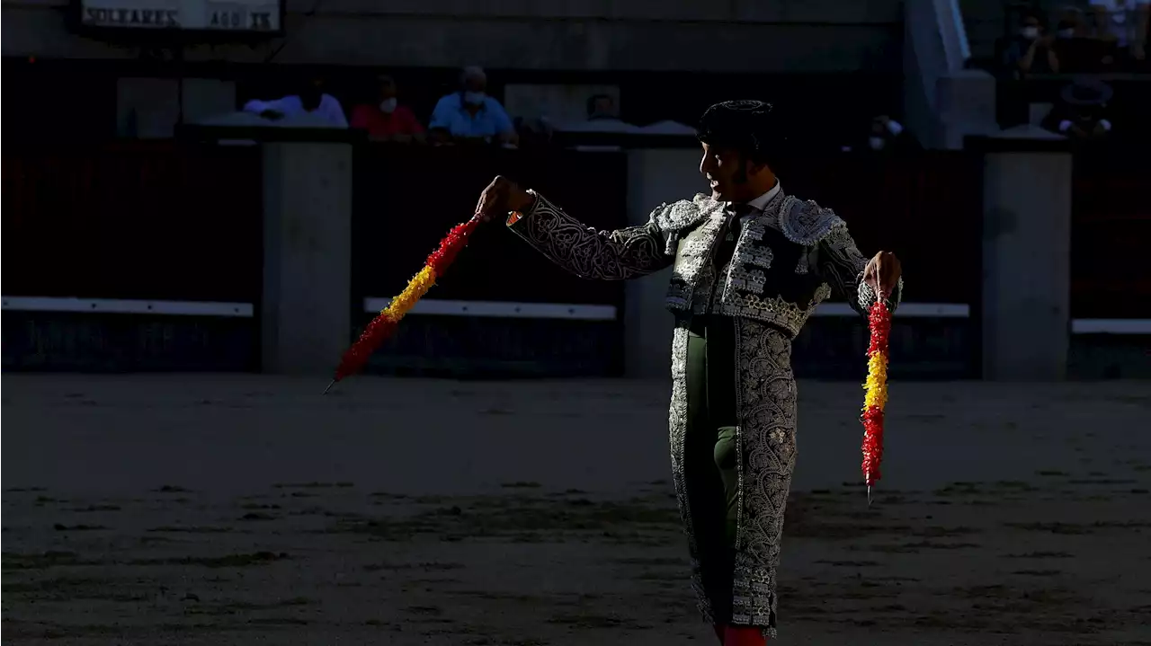 Mª Luisa, de hija secreta de un banderillero célebre a heredera millonaria, gracias al ADN