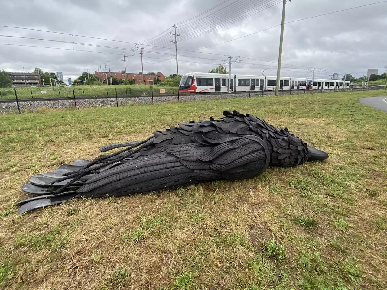 Sculpture of roadkill crow made from old tires is latest addition to Ottawa's public art scene