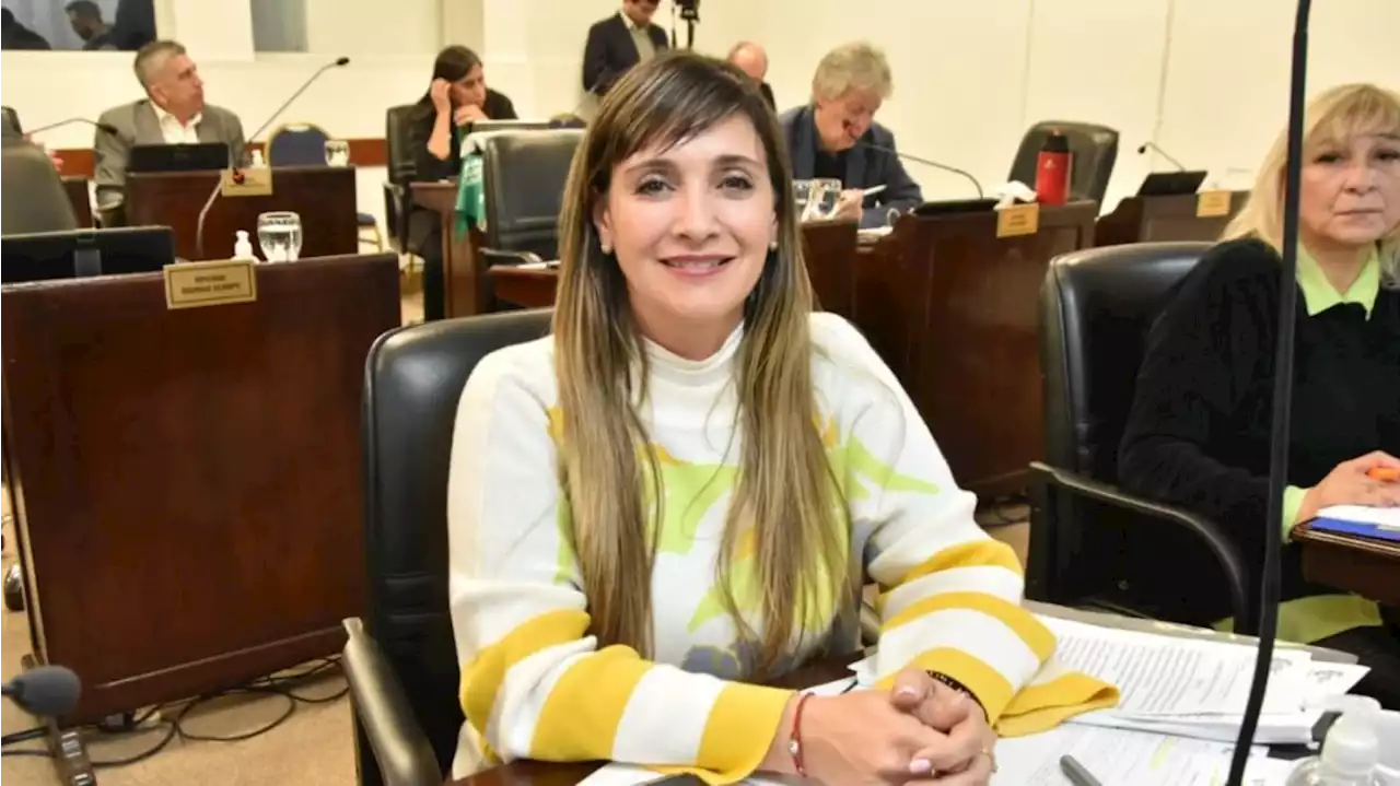 Polémica declaración de una diputada cercana a Capitanich: 'Cecilia eligió erróneamente a esa familia'