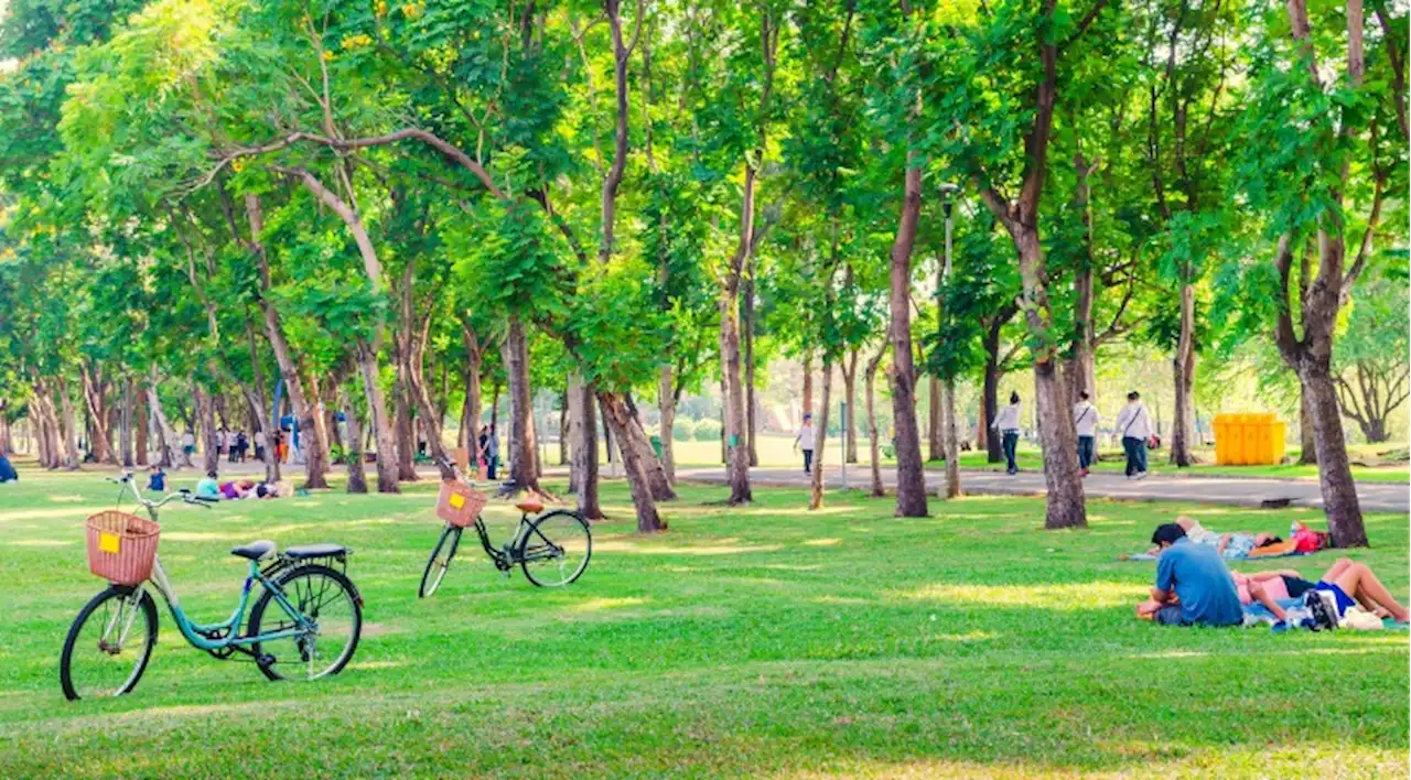 Living near green space makes you 2.5 years younger: study