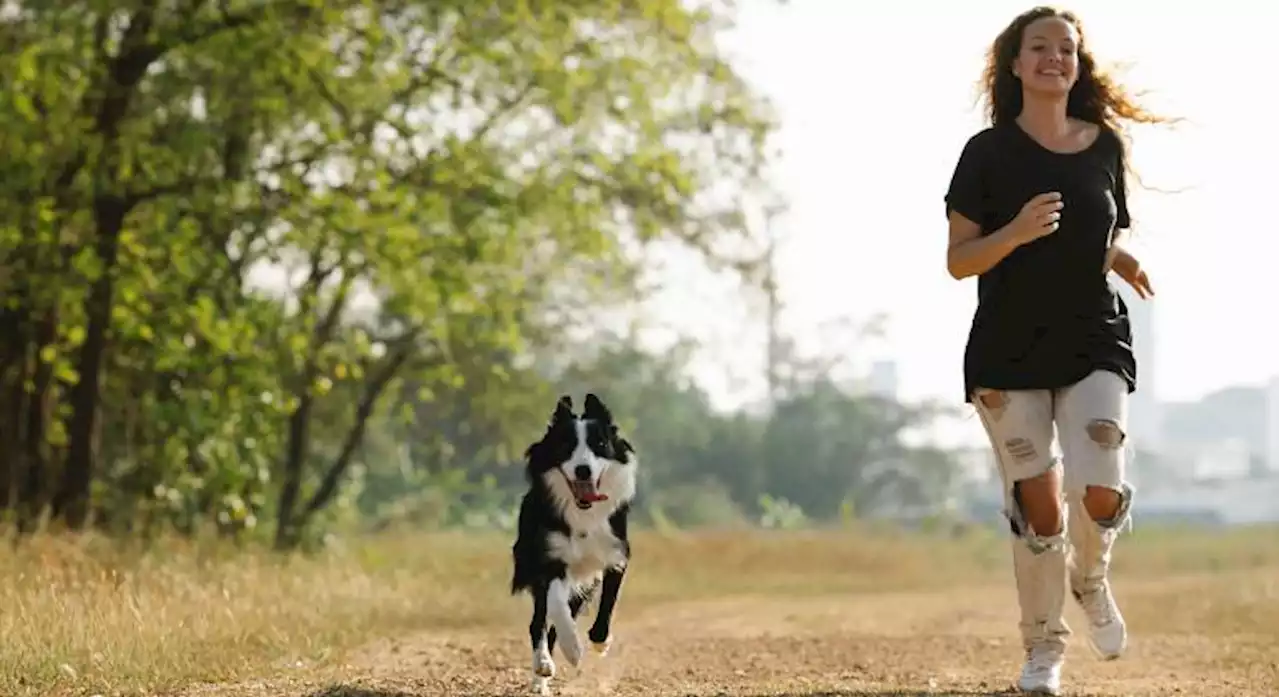 Corrida em prol dos animais, no Rio, terá formato híbrido pela primeira vez