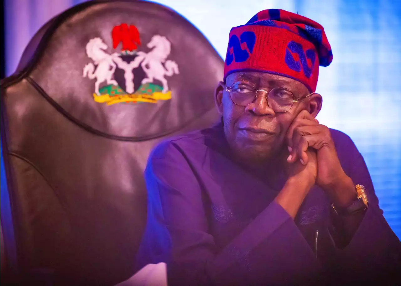 I'm taking baby steps as president, not in a hurry - Tinubu