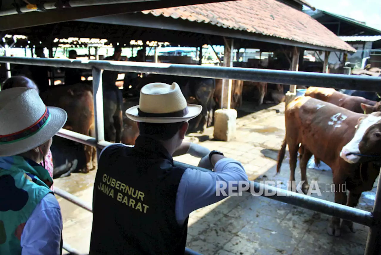 Idul Adha dan Tasyrik Hari Bersenang-senang untuk Menyantap Makanan |Republika Online