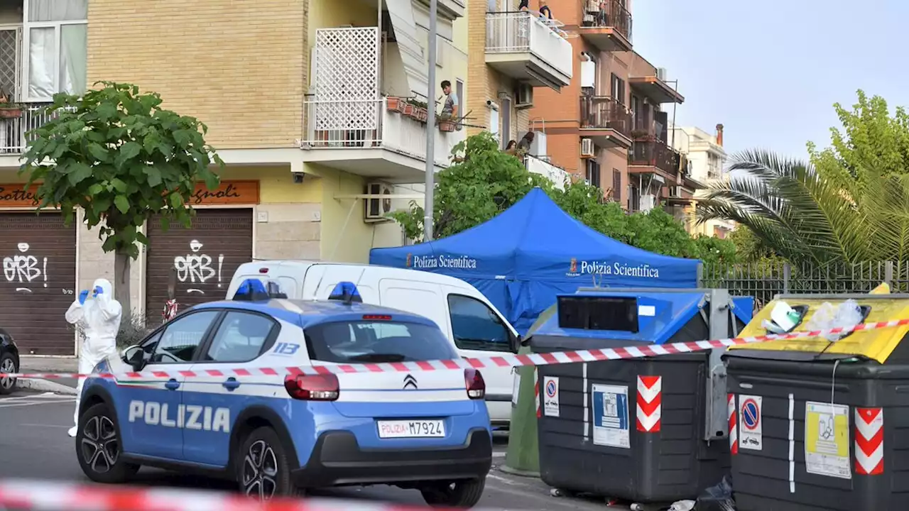 Uccisa a coltellate e lasciata in un carrello della spesa: arrestato un 17enne