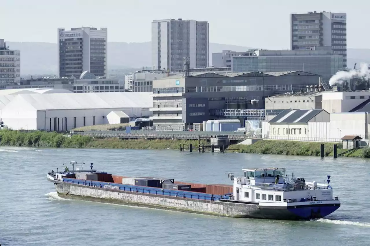 Rhein: Niedrigwasser behindert Schifffahrt - Schweizer Bauer