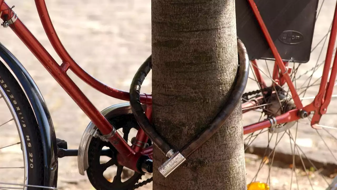 Kiel: Ein Fahrrad, ein Baum, ein Dieb und eine Säge