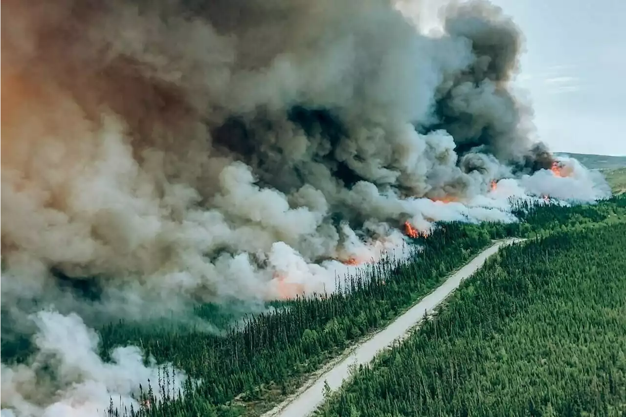 Meteorologists don’t expect significant rainfall in Quebec fire hot spots - Terrace Standard