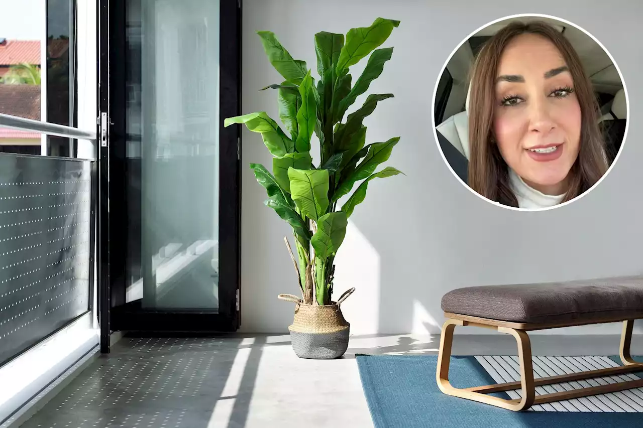 I'm an interior designer - the plants that instantly make your pad look tacky