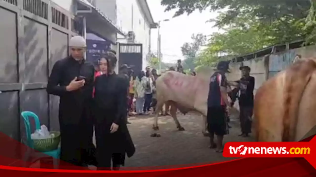 Pedangdut Via Vallen Kurban Tujuh Sapi dan 12 Kambing Pada Hari Raya Idul Adha 1444 H