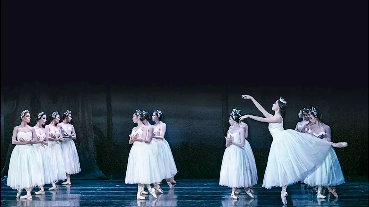 Giselle, con la Compañía Nacional de Danza, en la Sala Miguel Covarrubias - Gaceta UNAM