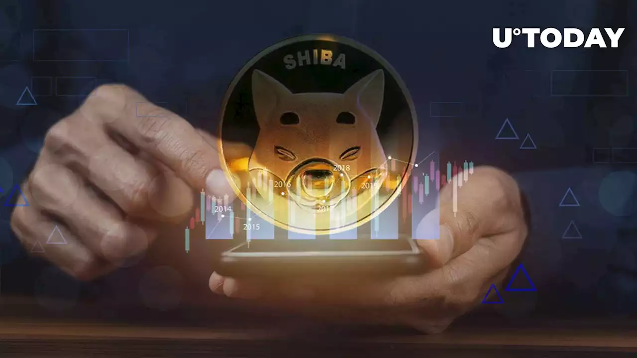 SHIB Price Takes U-Turn After Epic Shiba Inu Teaser Is Unveiled