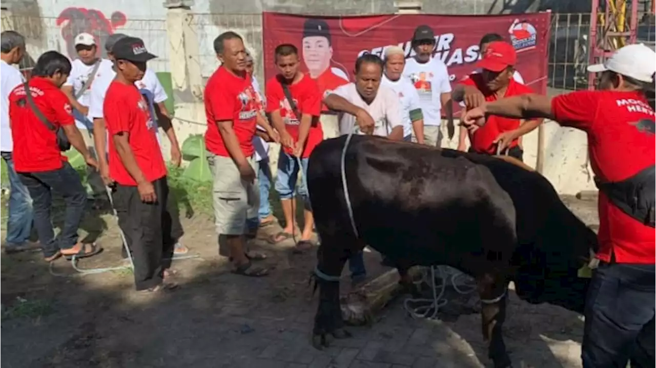 Relawan Pendukung Herviano Berkurban, Sebar Daging Untuk Masyarakat di Beberapa Kota