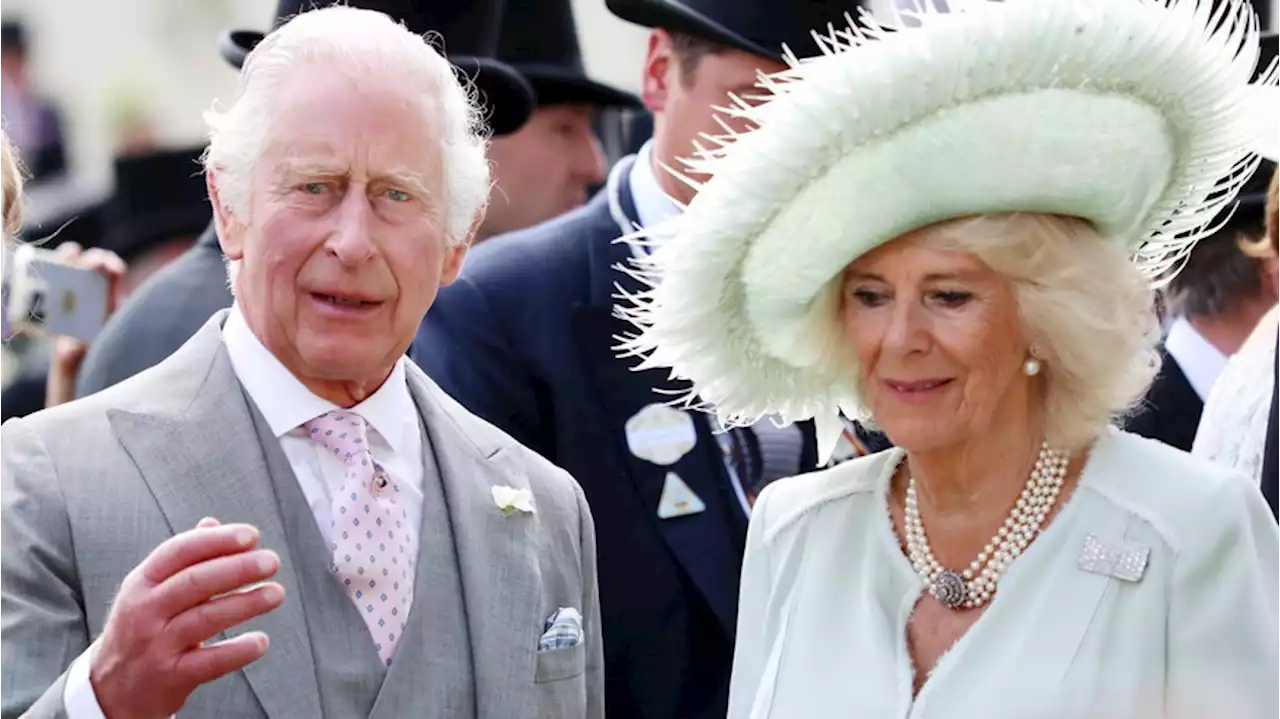 Charles und Camilla: Kurioser Masken-Auftritt sorgt für Aufsehen