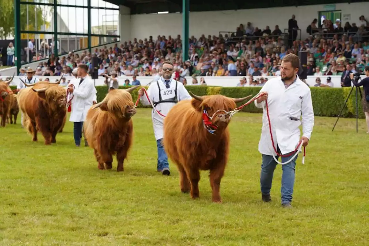 Everything you need to know about this year's Great Yorkshire Show