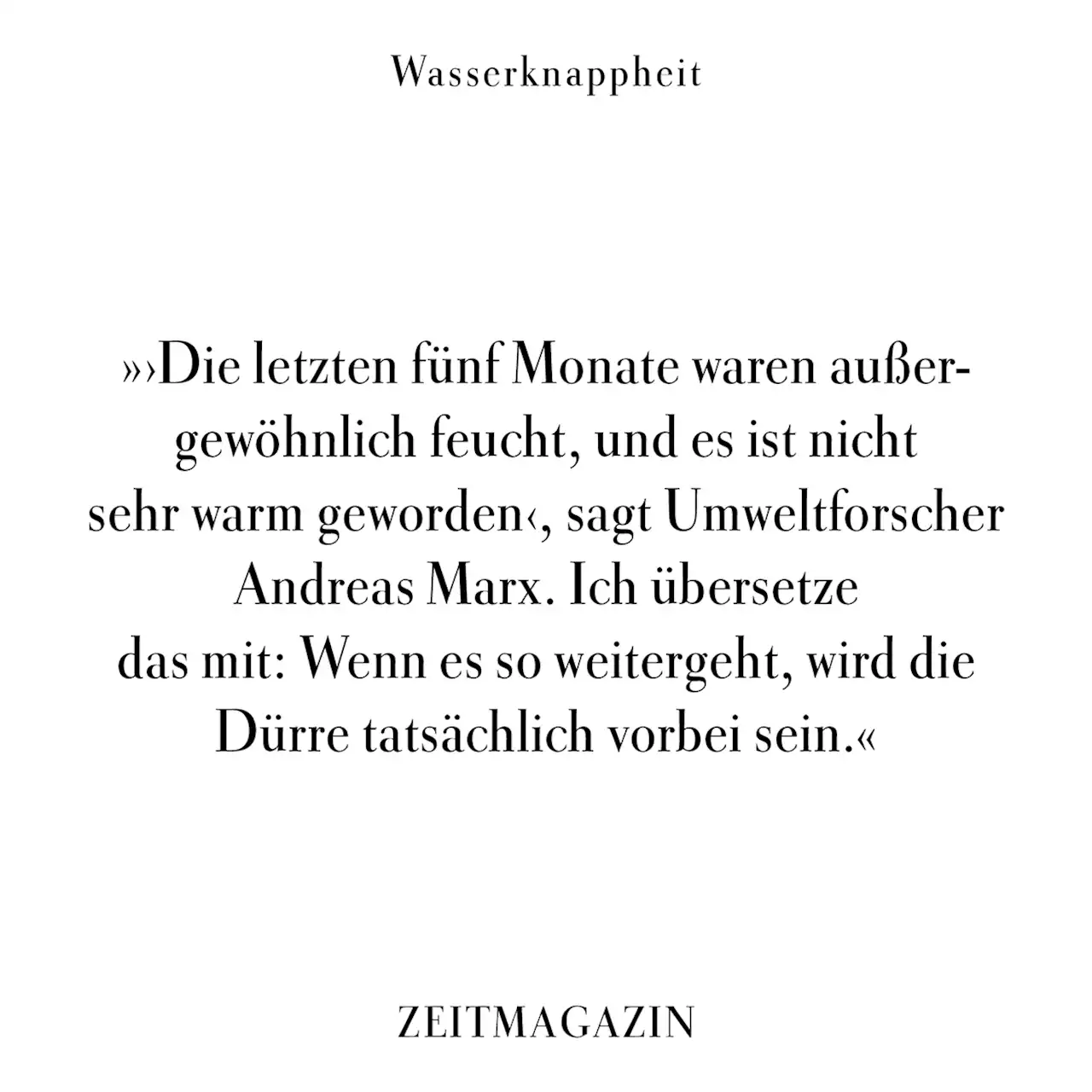 ZEIT ONLINE | Lesen Sie zeit.de mit Werbung oder im PUR-Abo. Sie haben die Wahl.