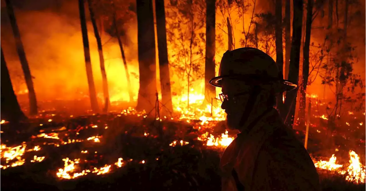 NSW firies launching major hazard reduction burn operation ahead of hot, dry winter