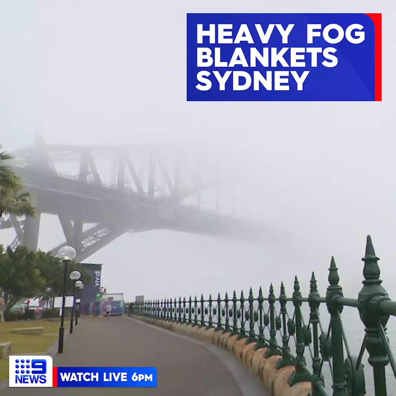 Sydney ferries stopped by thick fog blanket