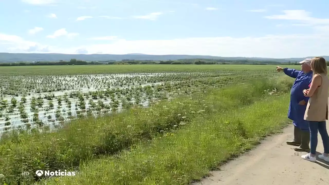 Las tormentas de las últimas semanas perjudican al campo tras una larga sequía