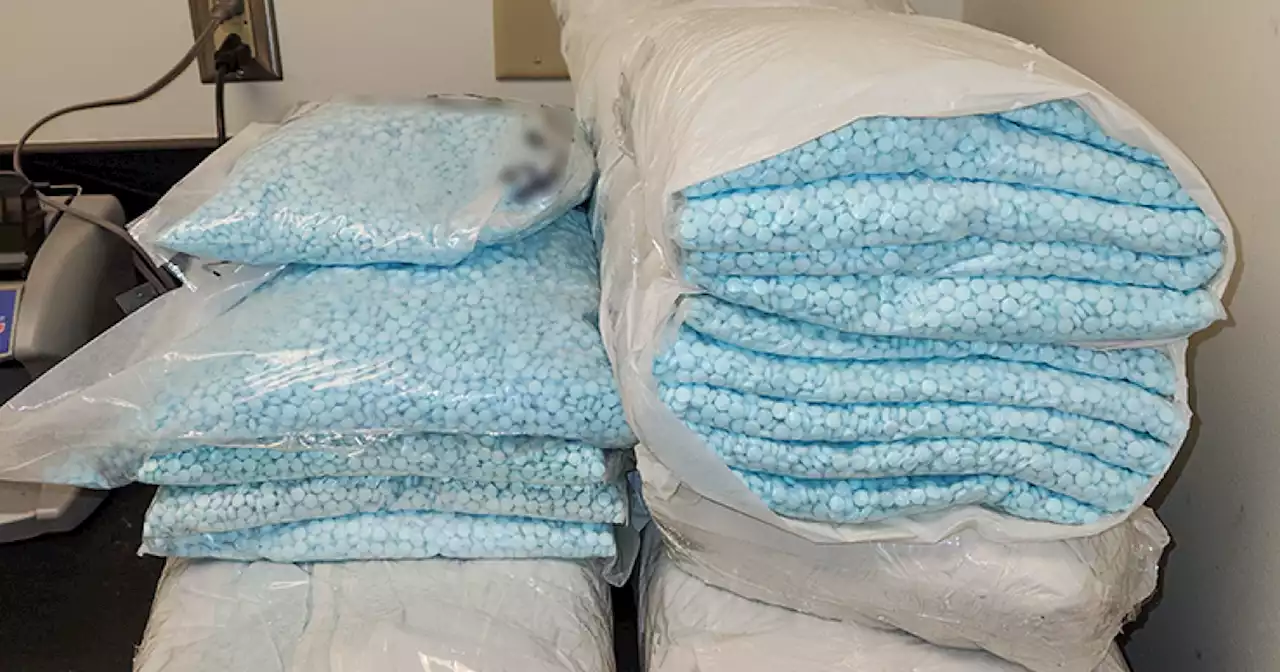 More than 1 million fentanyl pills headed for Phoenix seized south of Tucson