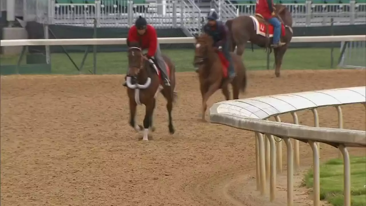 Bay Area animal activists call for Golden Gate Fields to shut down after horse deaths