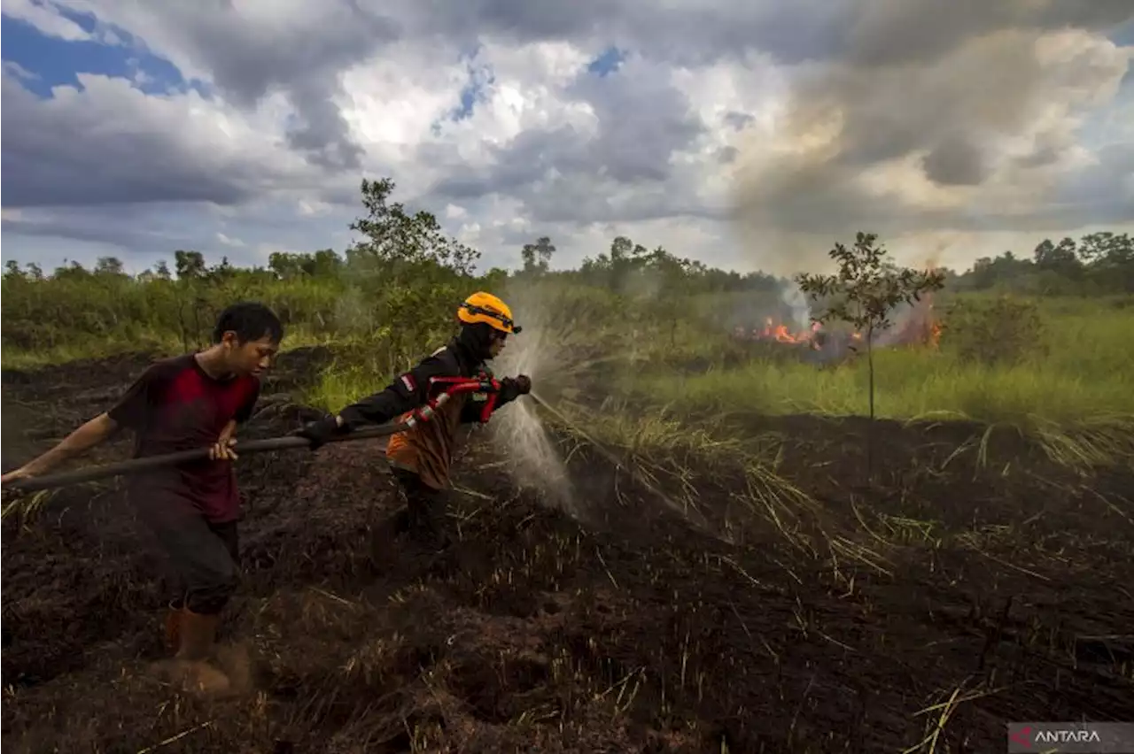 BPBD Kalsel tanggap usai warga diduga bakar lahan area Bandara