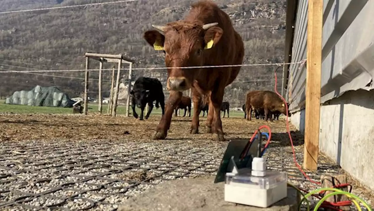 Angehende Agronomen sind technisch gerüstet für die Zukunft - bauernzeitung.ch