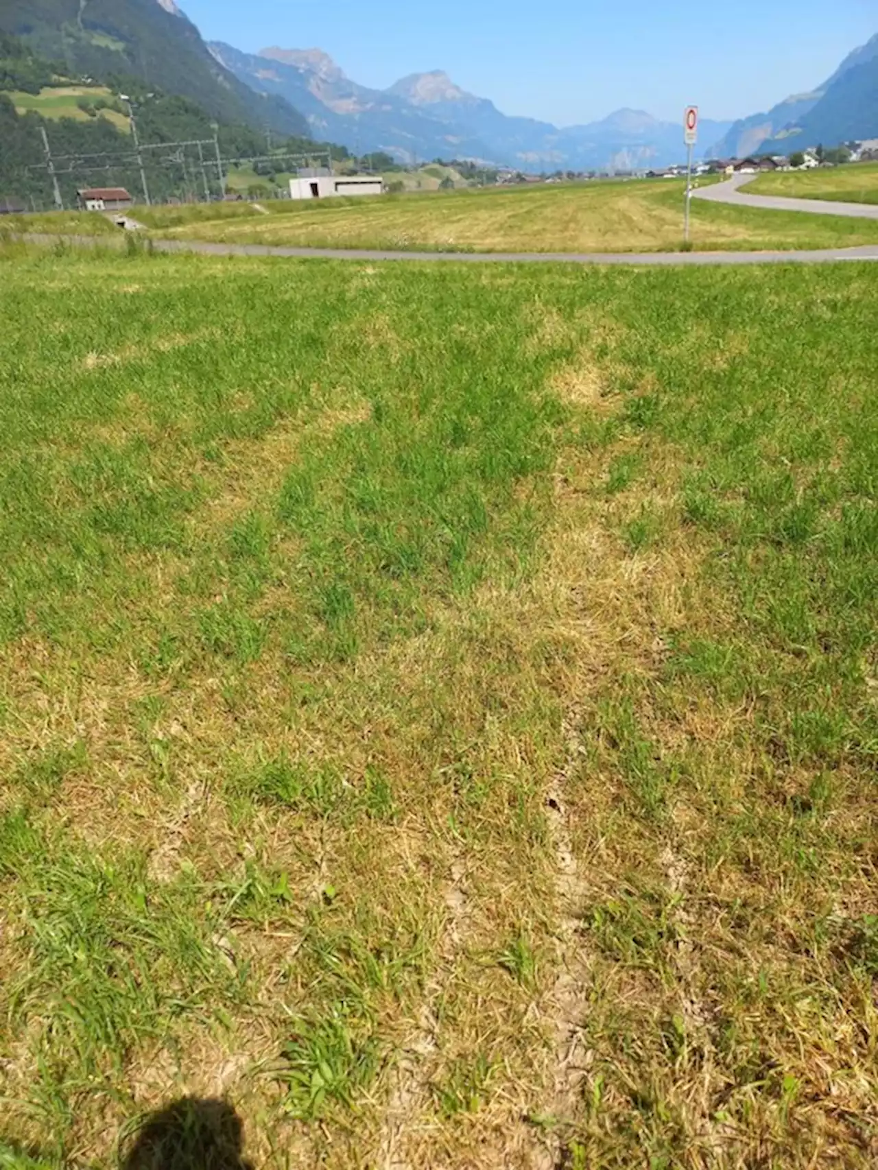 Hohe Futtermenge, aber weniger gute Qualität - bauernzeitung.ch