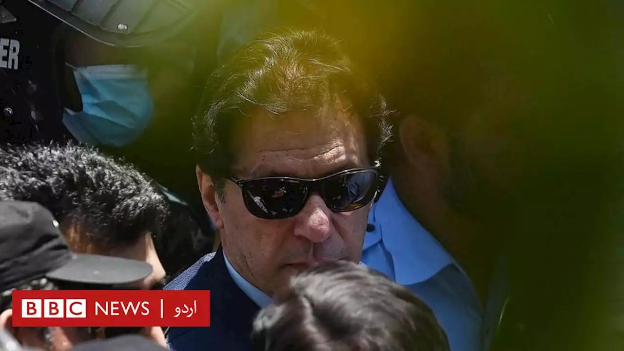 محمد حنیف کا کالم: ’کیا وہ عمران خان کو مار دیں گے؟‘ - BBC News اردو