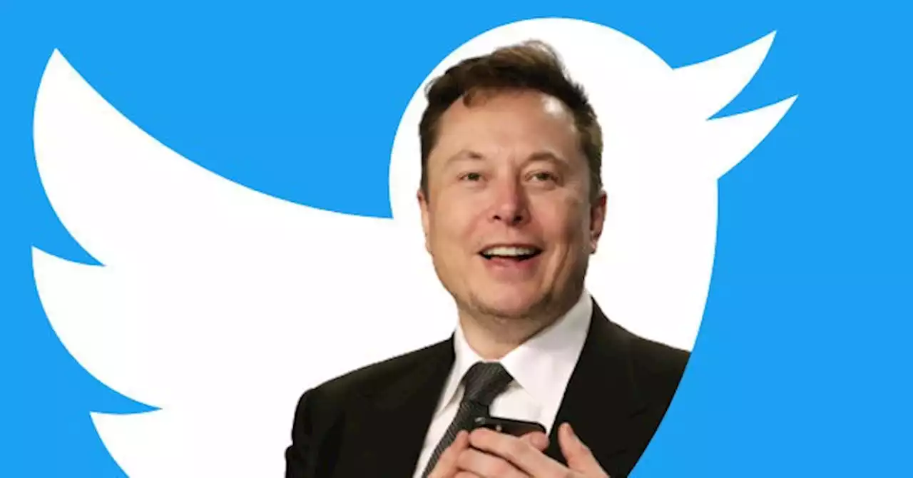 Elon Musk's Twitter Loses Its Top Censor - Again