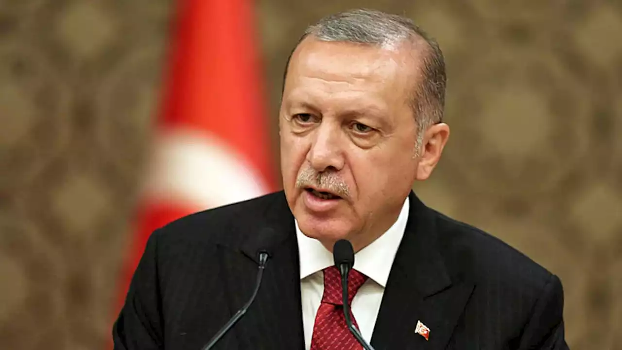 Erdogan für weitere Amtszeit vereidigt - «Schwöre auf meine Ehre»