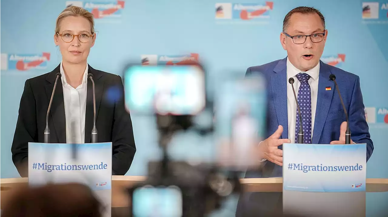 Schock-Umfrage! AfD holt Rekord-Zahlen