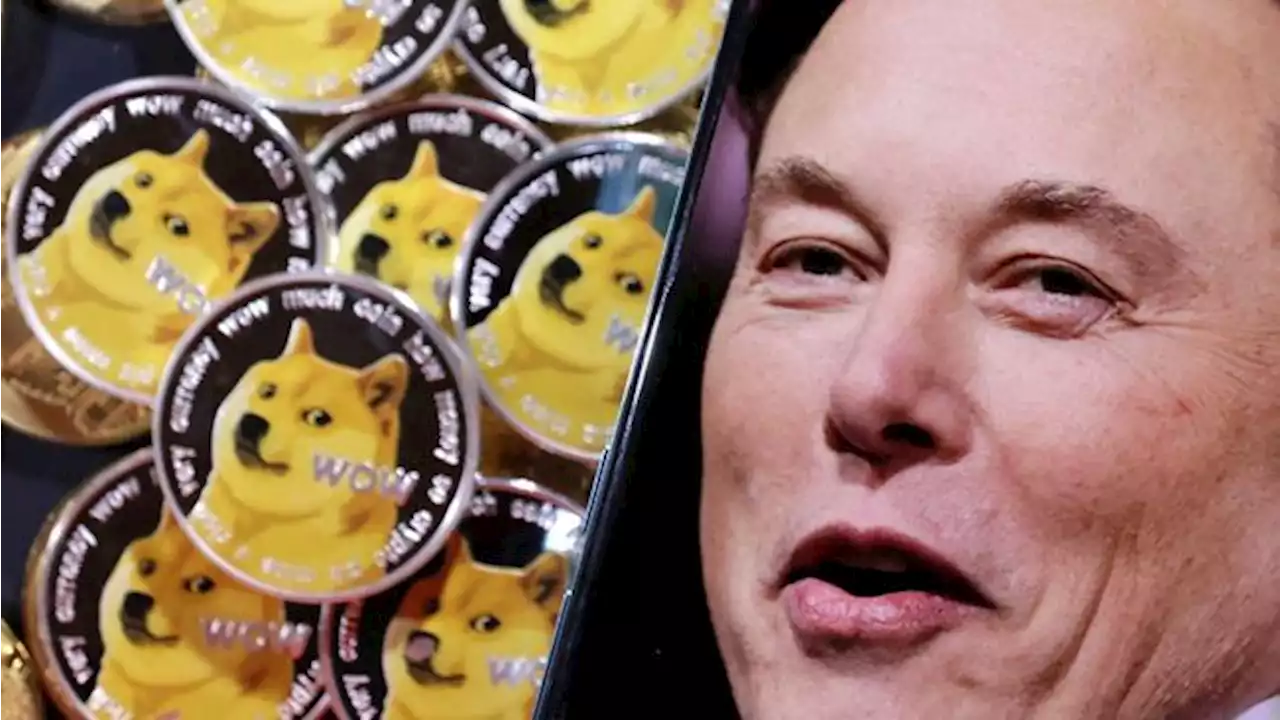 Elon Musk Dituding Manipulasi Dogecoin, Investor Menggugat!