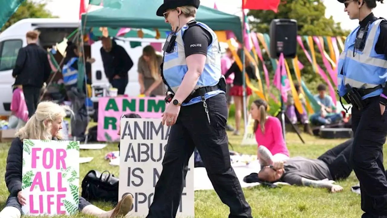 Police make 19 arrests as animal rights protesters plan to disrupt Epsom Derby | CNN