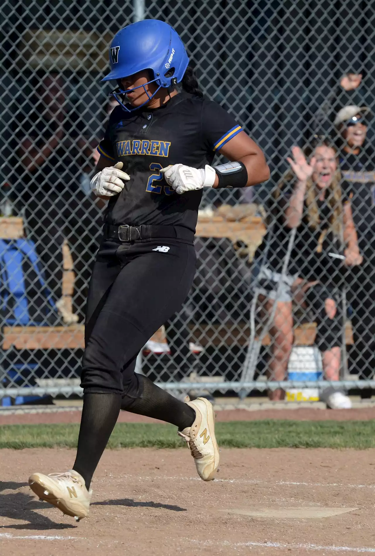 Softball: Warren thwarts Buffalo Grove's comeback bid, wins 2nd straight sectional