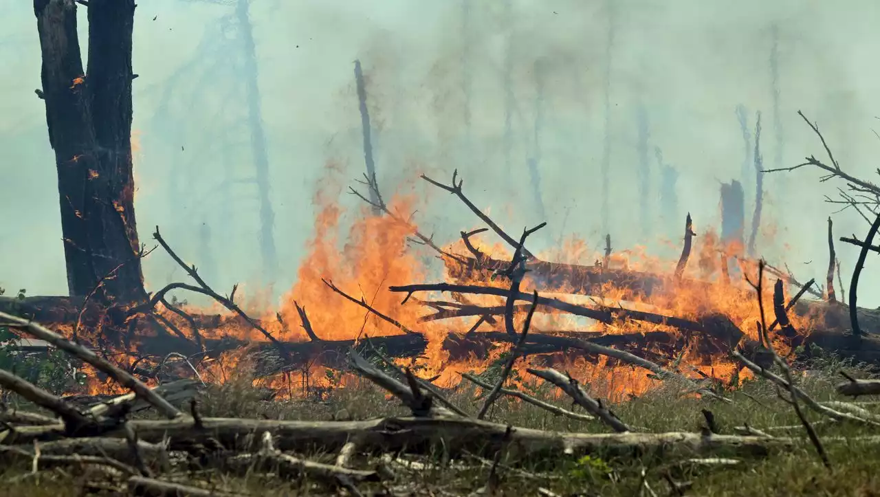 Waldbrand bei Jüterbog: »Wir rechnen nicht mit einem schnellen Ende«