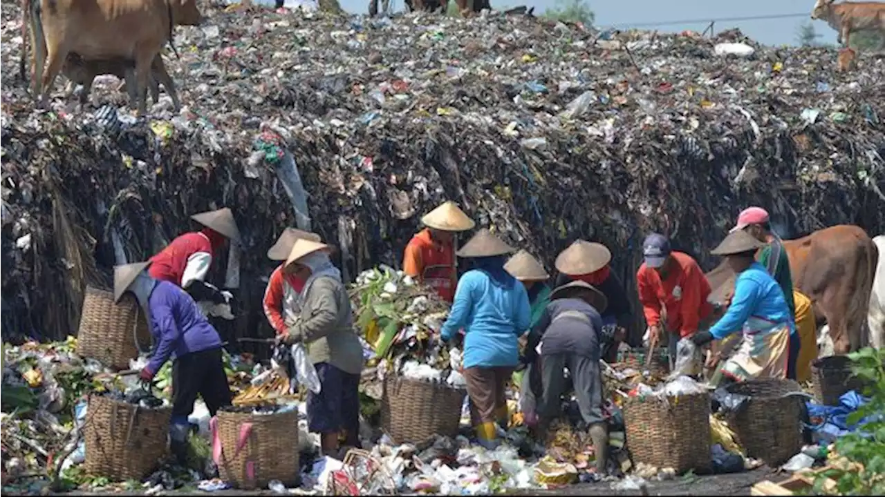 Warga Bengkalis Berebut Daging Tak Layak Konsumsi di Tempat Sampah