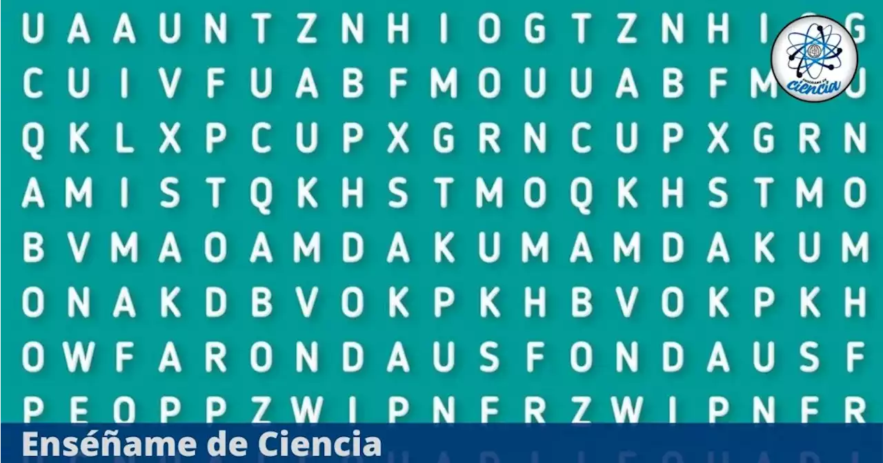 Acertijo visual para PRINCIPIANTES: Ubica la palabra “TRÉBOL” oculta en la sopa de letras