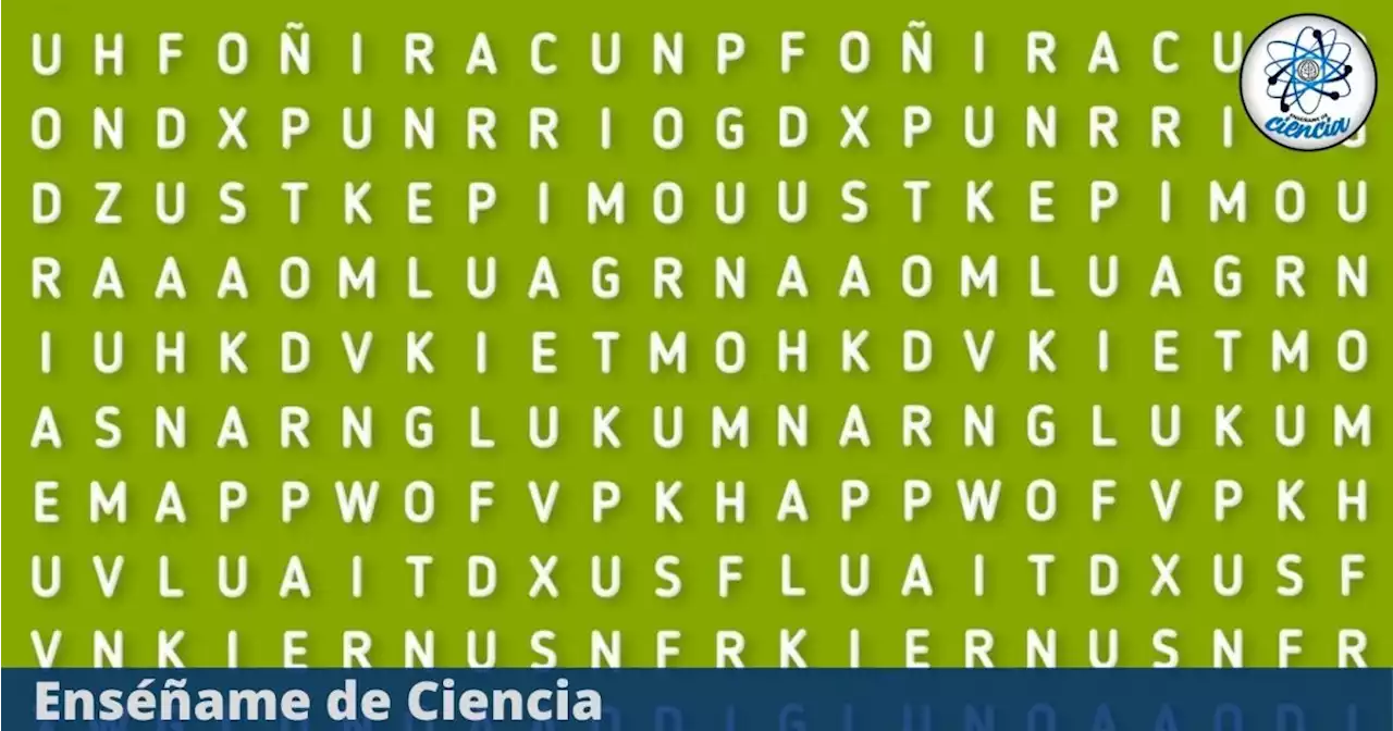 Halla la palabra “GALLETA” en el acertijo visual; soluciona la sopa de letras en un instante