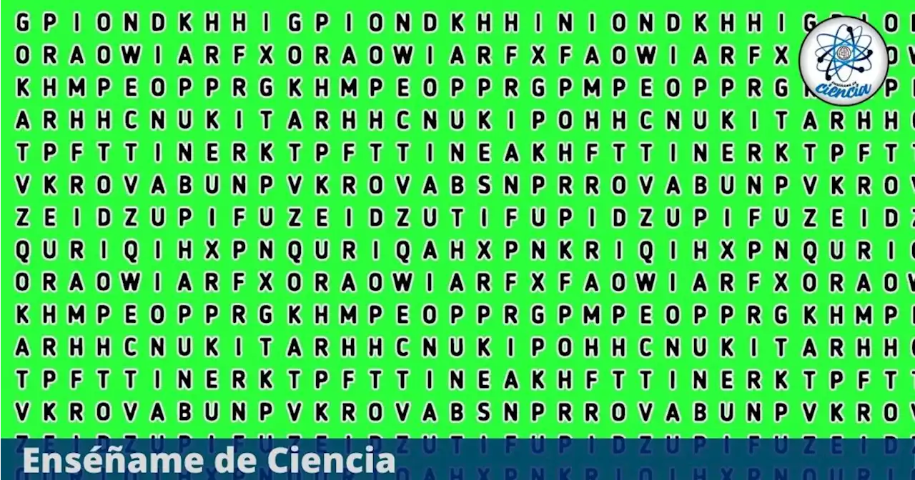 Test visual para EXPERTOS ¿Dónde está la palabra “MEDICINA” en la sopa de letras?