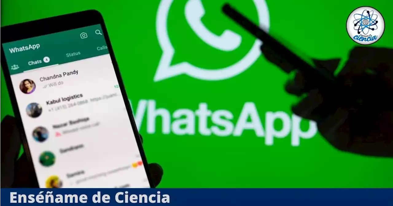 WhatsApp: te explicamos el nuevo sistema de sobrenombres y cómo podrás usarlo