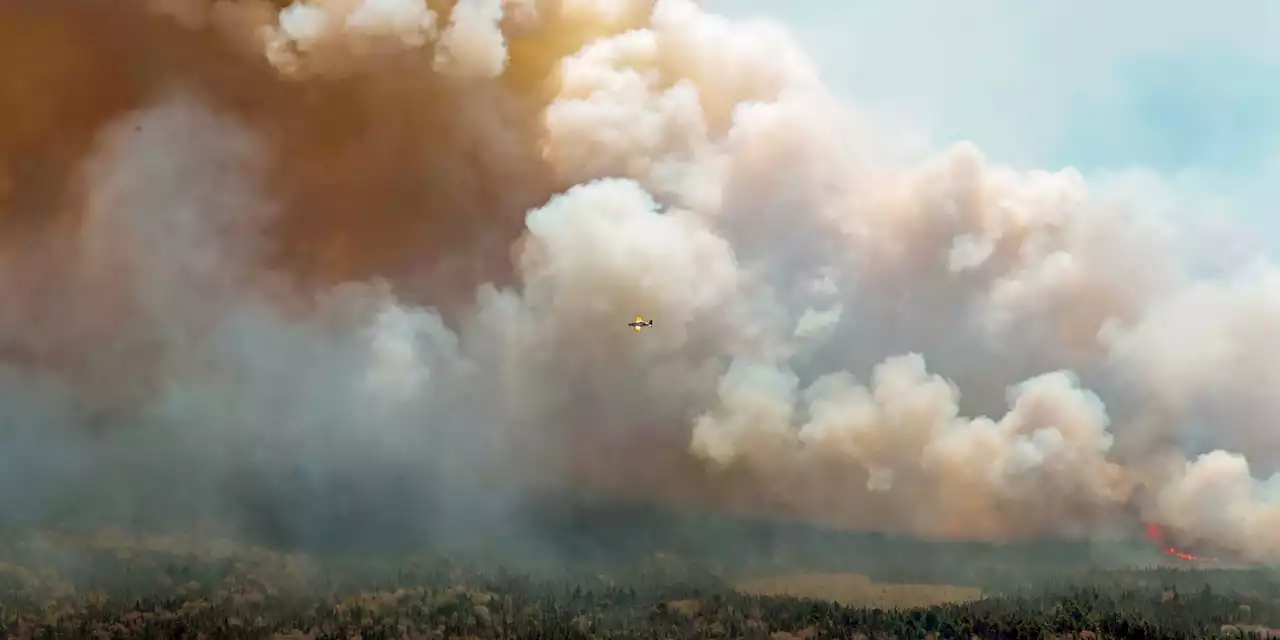 Incendies au Canada : le Québec touché à son tour et forcé d'évacuer 11.000 personnes