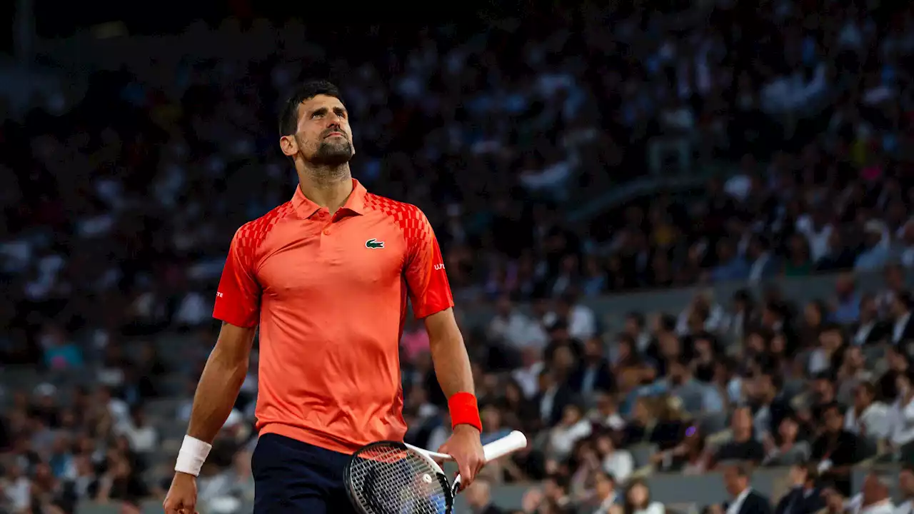 Himmel und Hölle für Alexander Zverev, Novak Djokovic und Co. - was French-Open-Fans so besonders macht