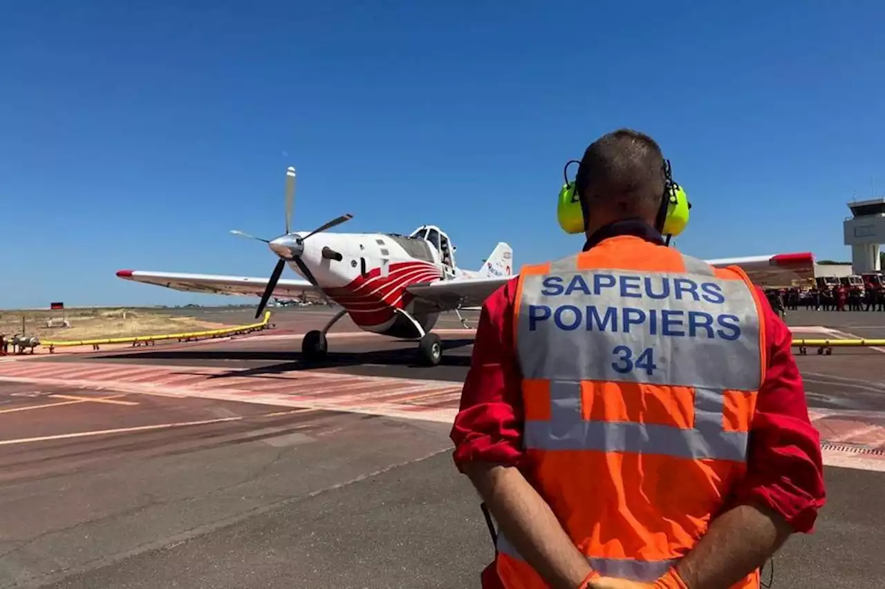 Un incendie éclate dans l'Hérault, deux hectares de garrigue partent en fumée, plusieurs dizaines menacés