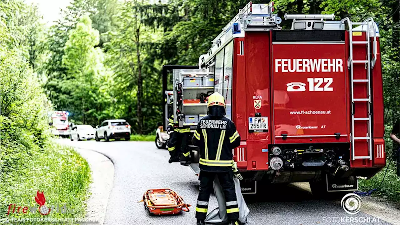 Oö: Abgestürzter in Klettersteig in St. Leonhard / Freistadt von Baum aufgehalten